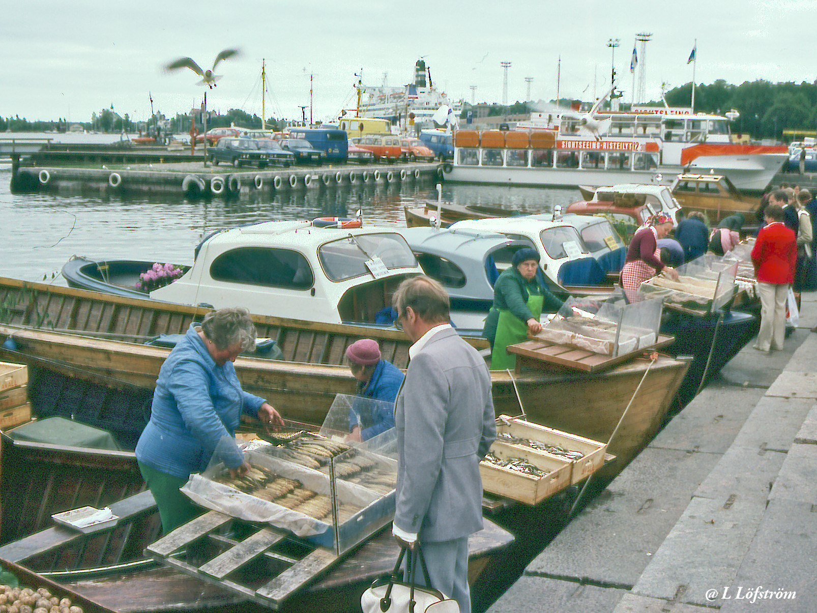 Most viewed-Baltic herring
