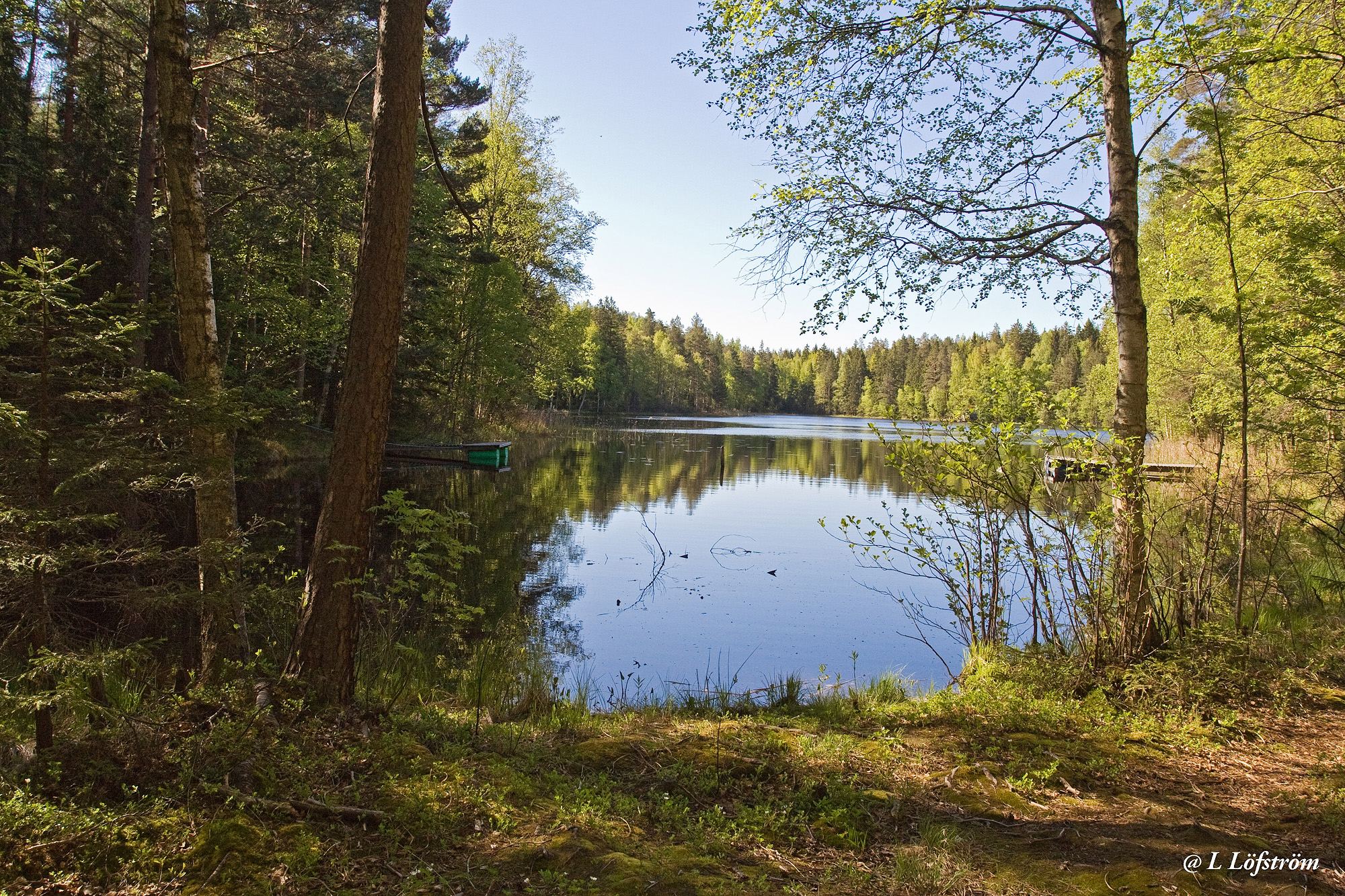 Nuuksio-Summer morning at lake