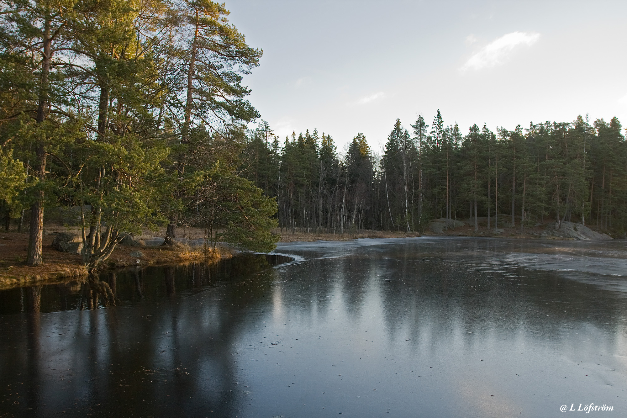 Nuuksio-Myllyjärvi 1
