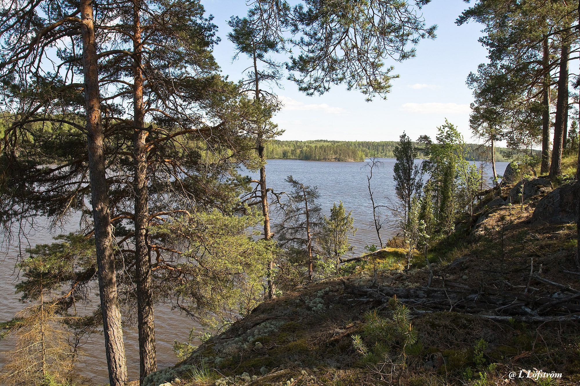 Nuuksio-From Urokallio hill