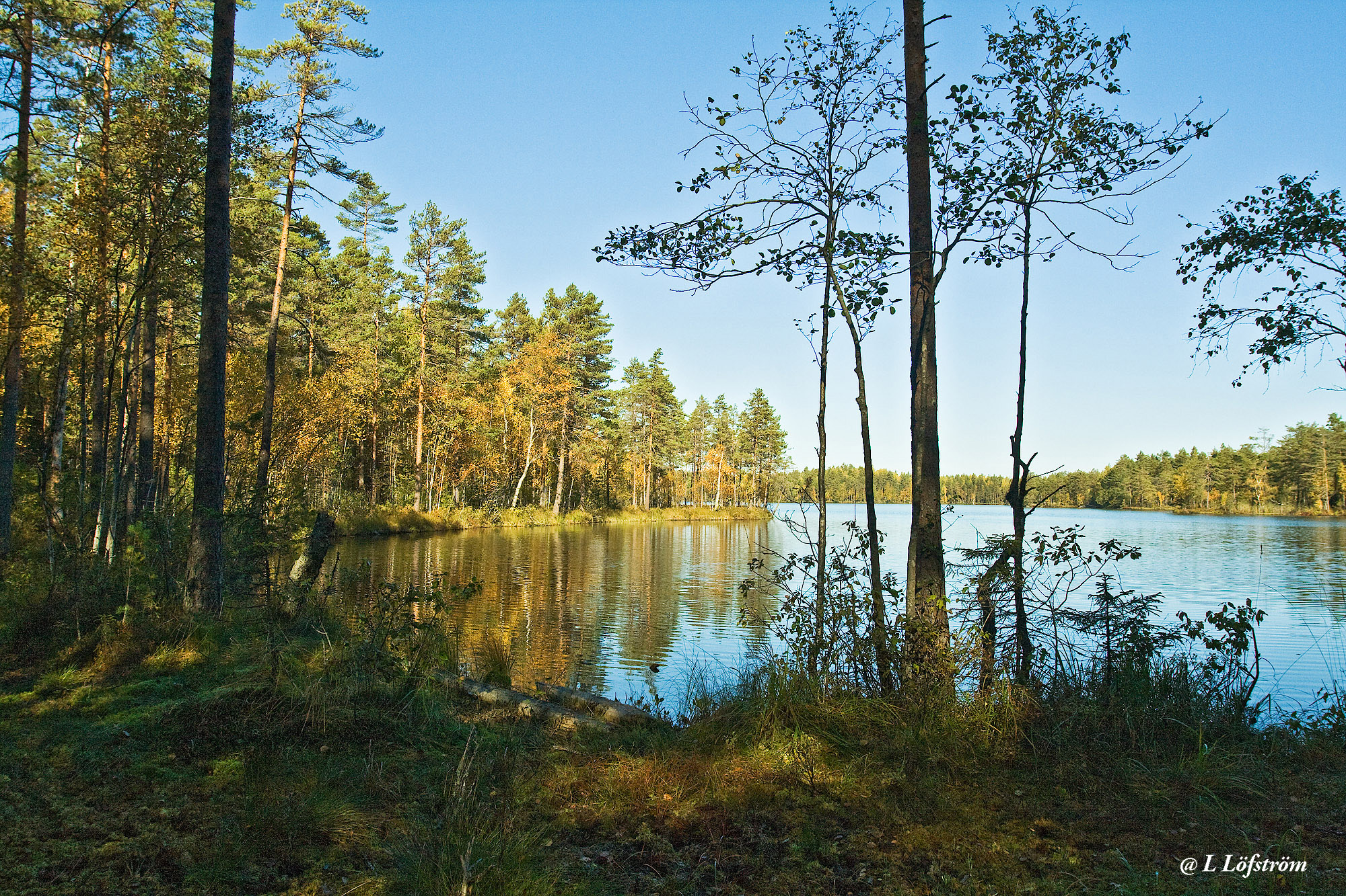 Nuuksio-Orajärvi 2