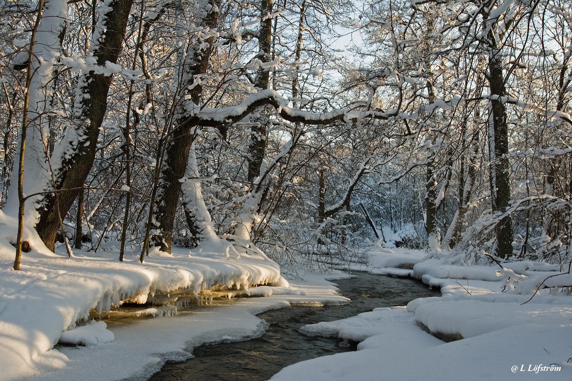 Landscapes-Winter wonderland