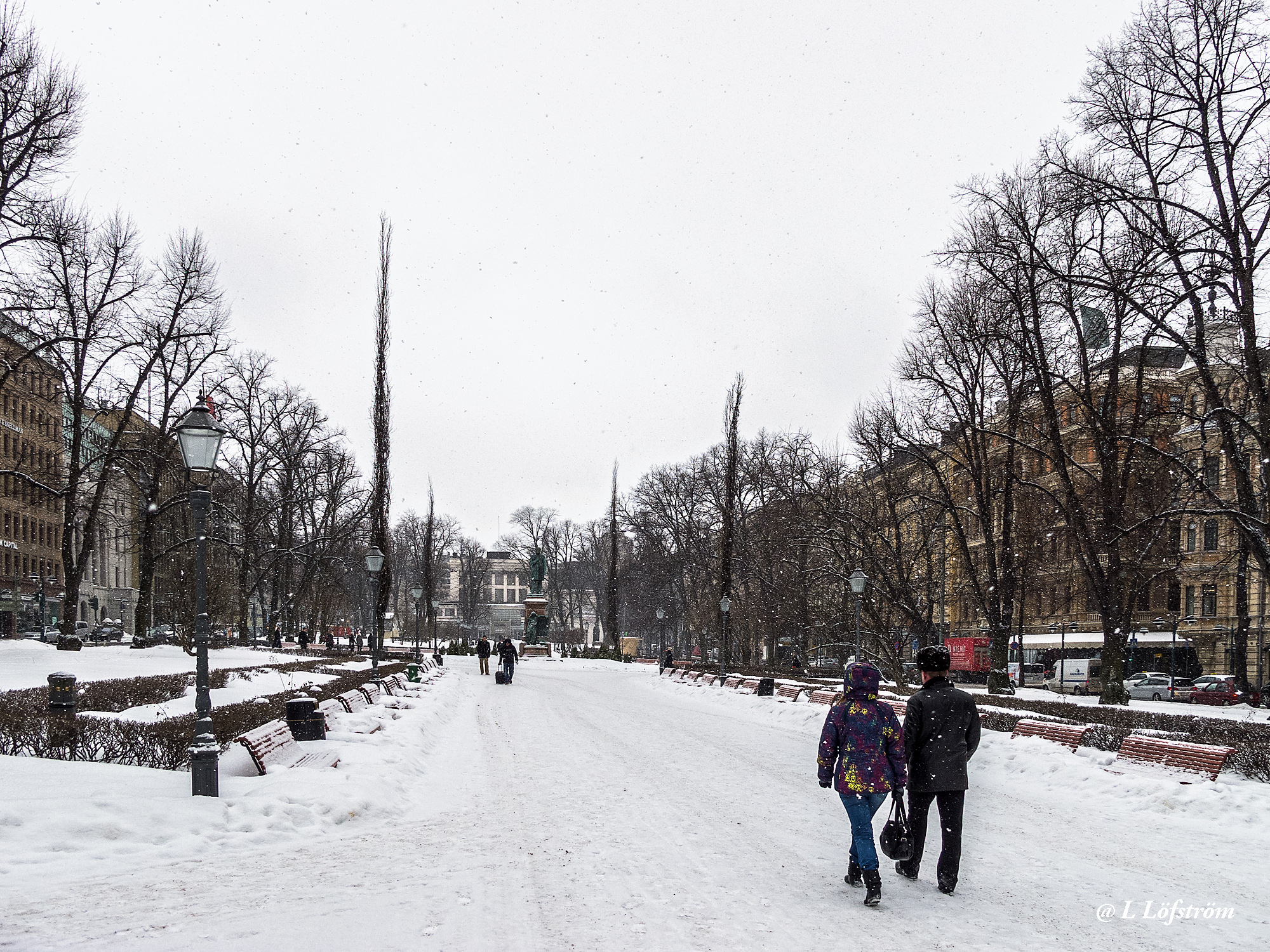 Helsinki-Winter in Park