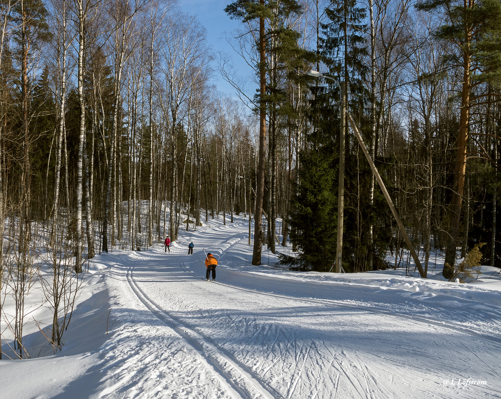 Landscapes-Joy of skiing