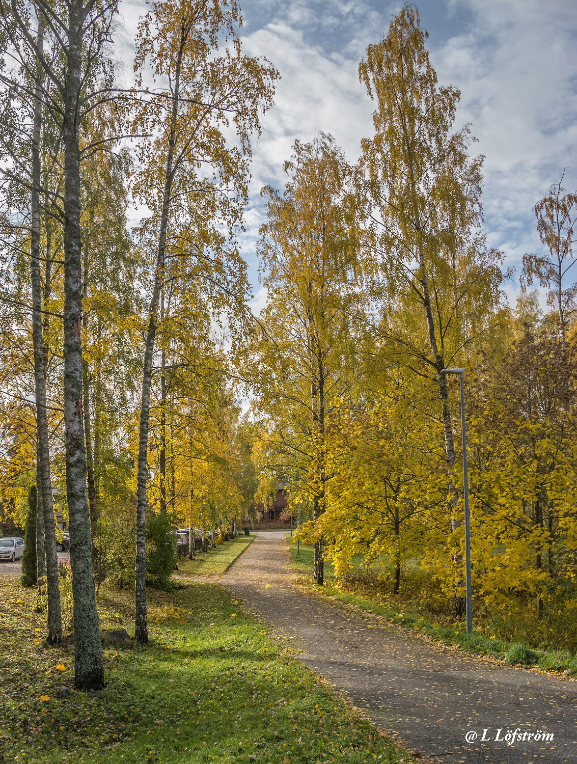 Landscapes-Autumn  in Soukka