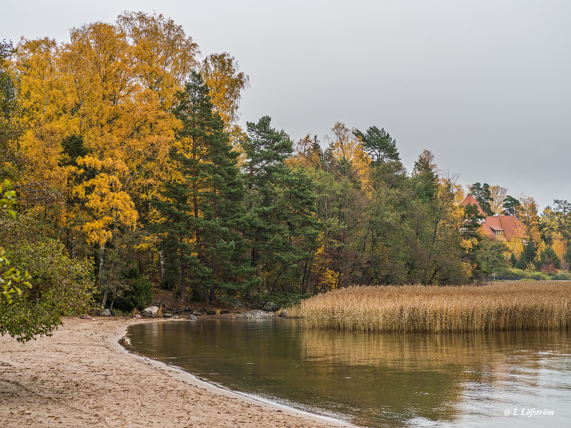 Landscapes-Autumn in Klobben