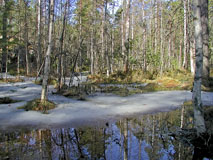 A swamp getting rid of ice and snow - Last view 2022-09-03