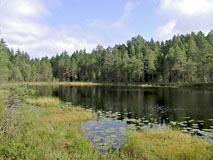Niemelänlampi pond - Last view 2022-09-03