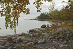 Autumn mood in Lauttasaari beach, Helsinki - Last view 2021-11-24