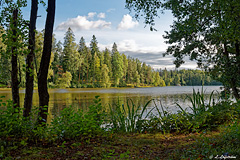Gallträsk lake in the middle of Kauniainen city.