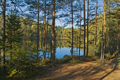 A small lake Valklampi near lake Urja - Last view 2021-10-03