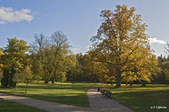 Träskända park in October - Last view 2021-02-24