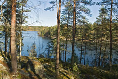 Saarijärvi lake seen from a rock at its western side - Last view 2022-08-11