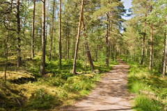 An outdoor trail in Hanikka area of Espoo - Last view 2022-07-13