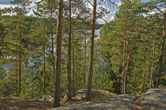 View from a hill over Tapolanjärvi in Liesjärvi National Park - Last view 2021-11-24