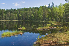 Pikku Sorlampi pond - Last view 2021-10-03