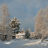 Winter in Latokaski village - Last view 2021-11-24