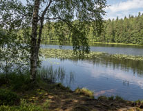 Haukkalampi lake - Last view 2021-10-03