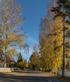 Autumnal view in Latokaski  - Last view 2021-11-24