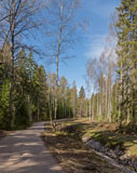 A path going around Harmaakallio hill - Last view 2021-11-24