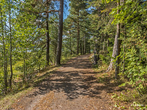 A path along shore in Ristiniemi, Espoo - Last view 2022-07-13